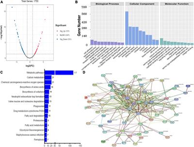 Quantitative proteomics on the cerebrospinal fluid of hydrocephalus in neonatal bacterial meningitis